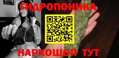 стафф Краснознаменск