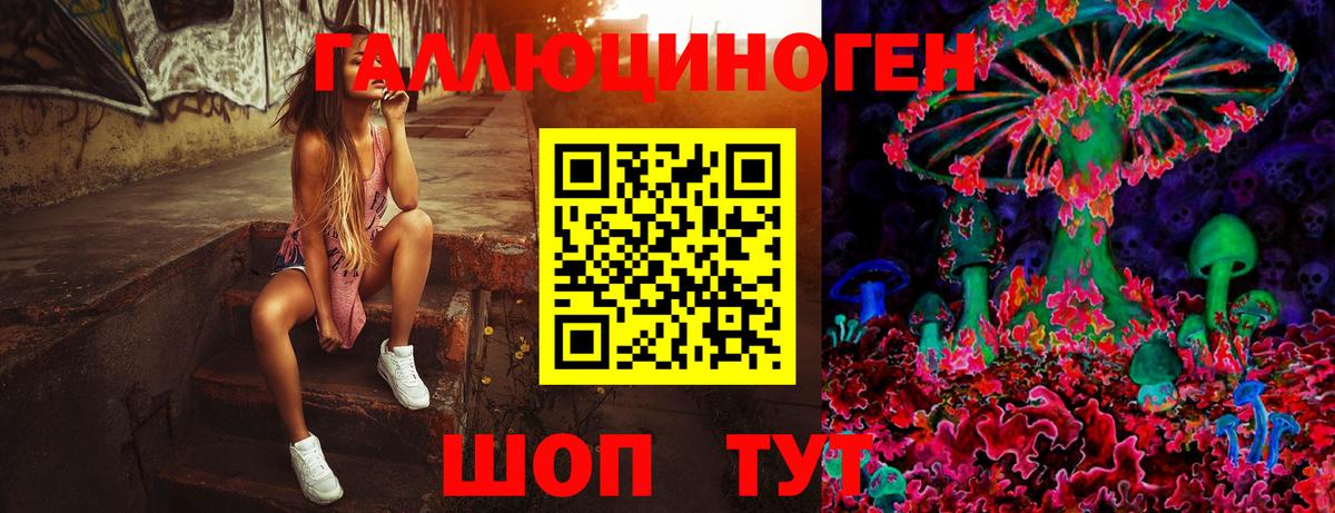 Псилоцибиновые грибы GOLDEN TEACHER Домодедово